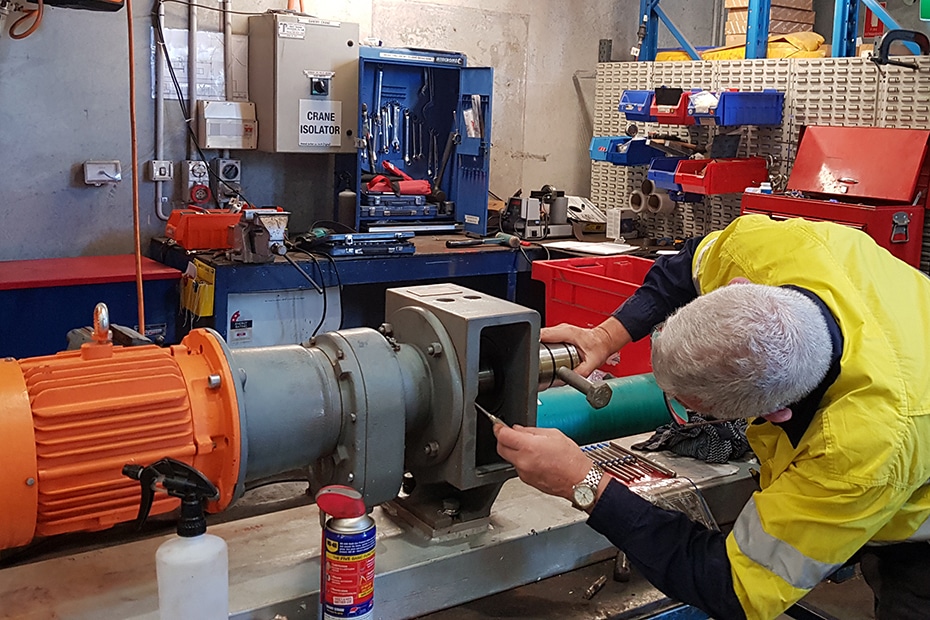 Technician repairing pump